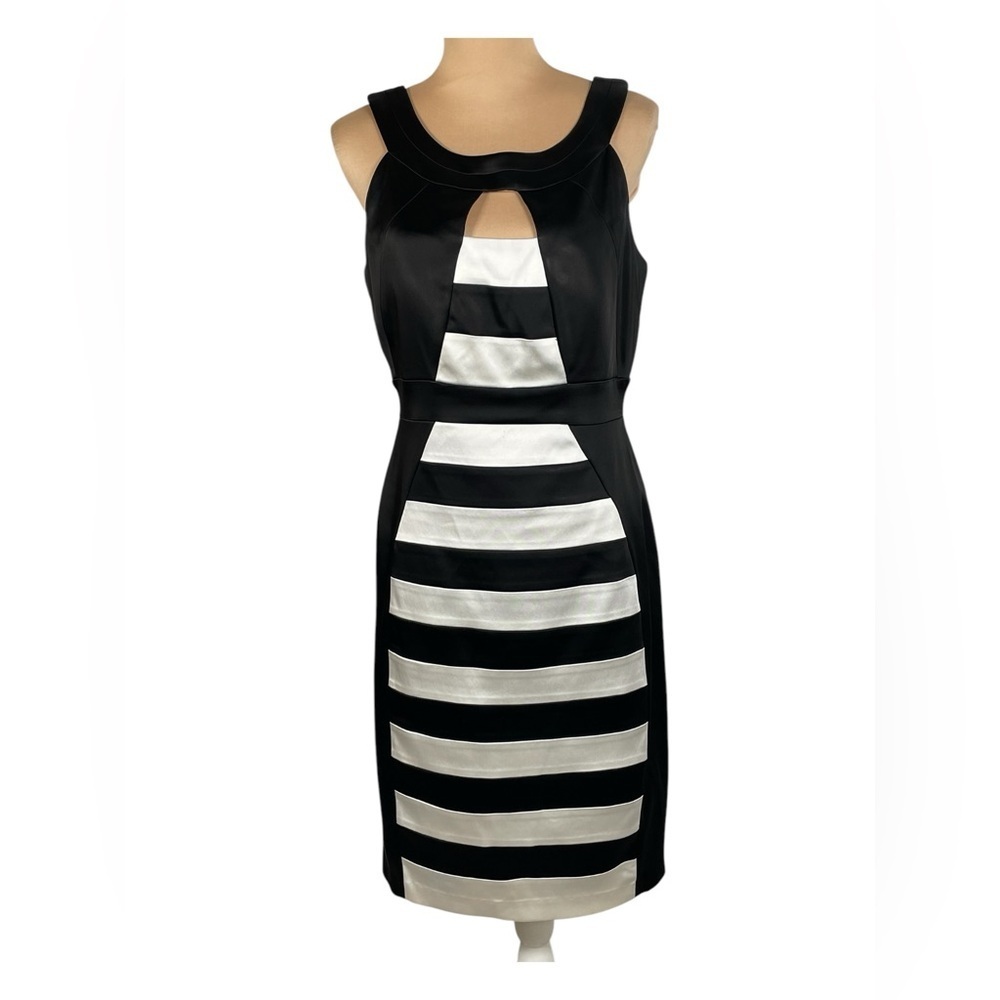 JAX~Striped Sheath‎ Dress Size 10